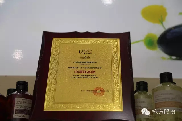 Science and technology to lead the beautiful ▏ Dong Fang shares won the