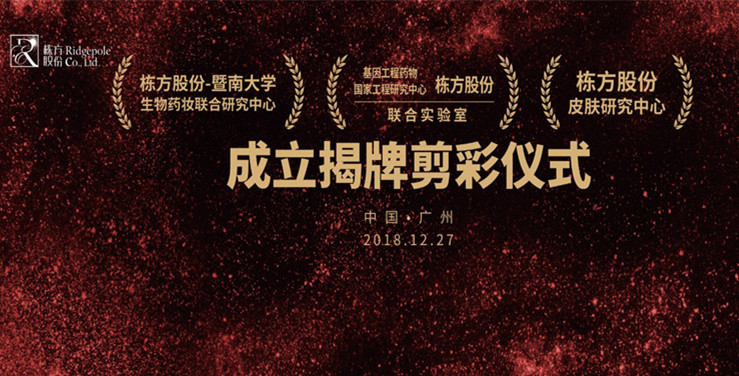 特別報道丨棟方股份技術(shù)發(fā)展迎來新里程碑