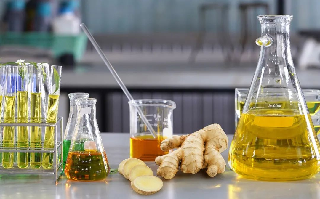 棟方股份榮獲2021年廣東省科技進(jìn)步獎(jiǎng)，科研創(chuàng)新實(shí)力再獲認(rèn)可！