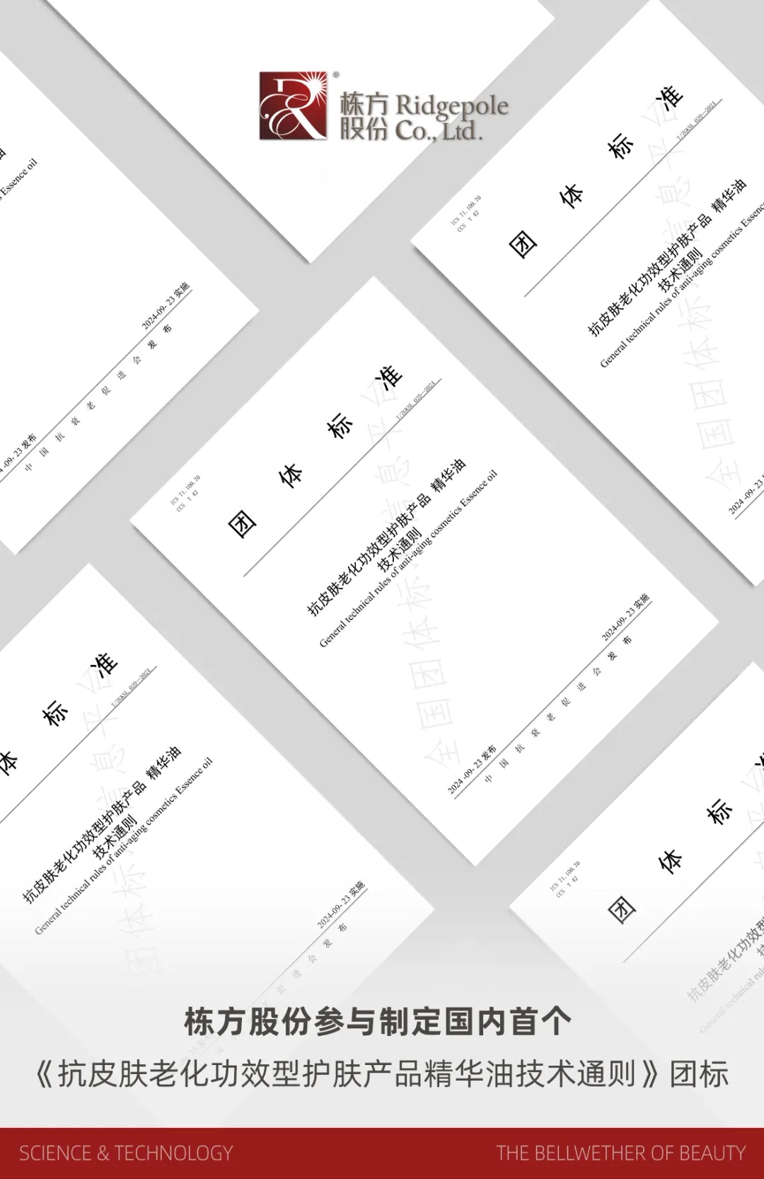 標(biāo)準(zhǔn)引領(lǐng)丨國內(nèi)首個(gè)《抗皮膚老化功效型護(hù)膚產(chǎn)品精華油技術(shù)通則》團(tuán)體標(biāo)準(zhǔn)正式發(fā)布